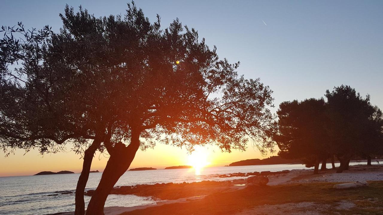 Apartments Alea Rovinj Zewnętrze zdjęcie